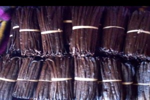 Vanilla , coffee and Cocoa from Uganda